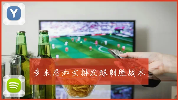 多米尼加女排发球制胜战术