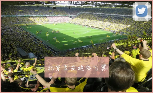 北京国安边路飞翼
